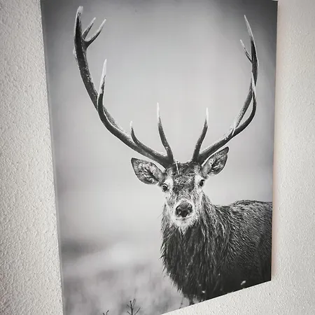 Les Bulles Vosgiennes La Bresse