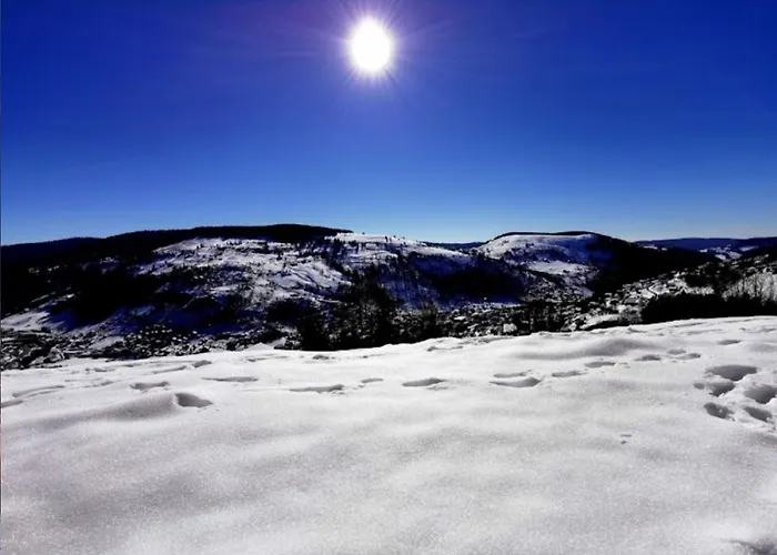 Les Bulles Vosgiennes Apartment