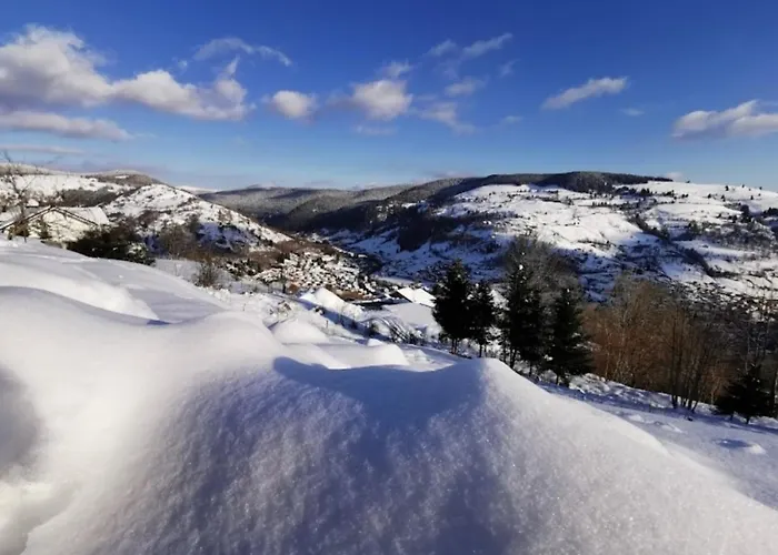 Les Bulles Vosgiennes Apartment La Bresse