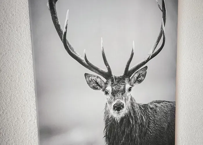 Les Bulles Vosgiennes La Bresse